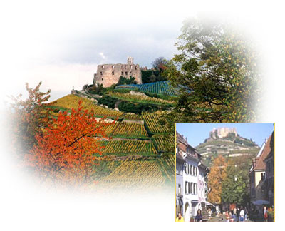 Fauststadt Staufen - Staufener Burg